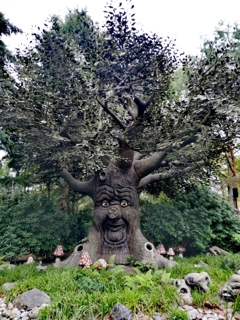 L'arbre des contes