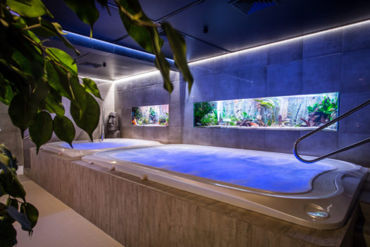 Jacuzzi poissons Dilbeek