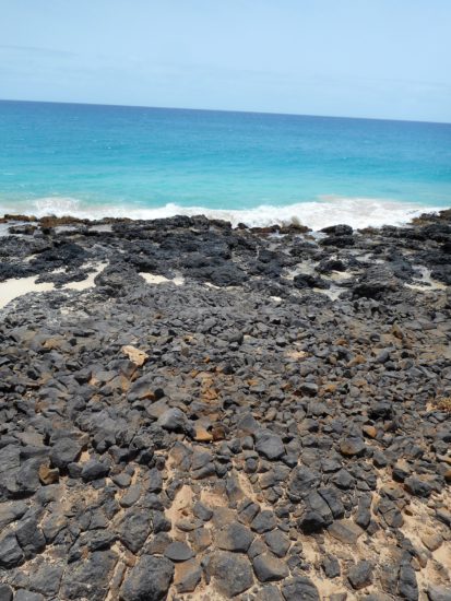 La plage aux tortues