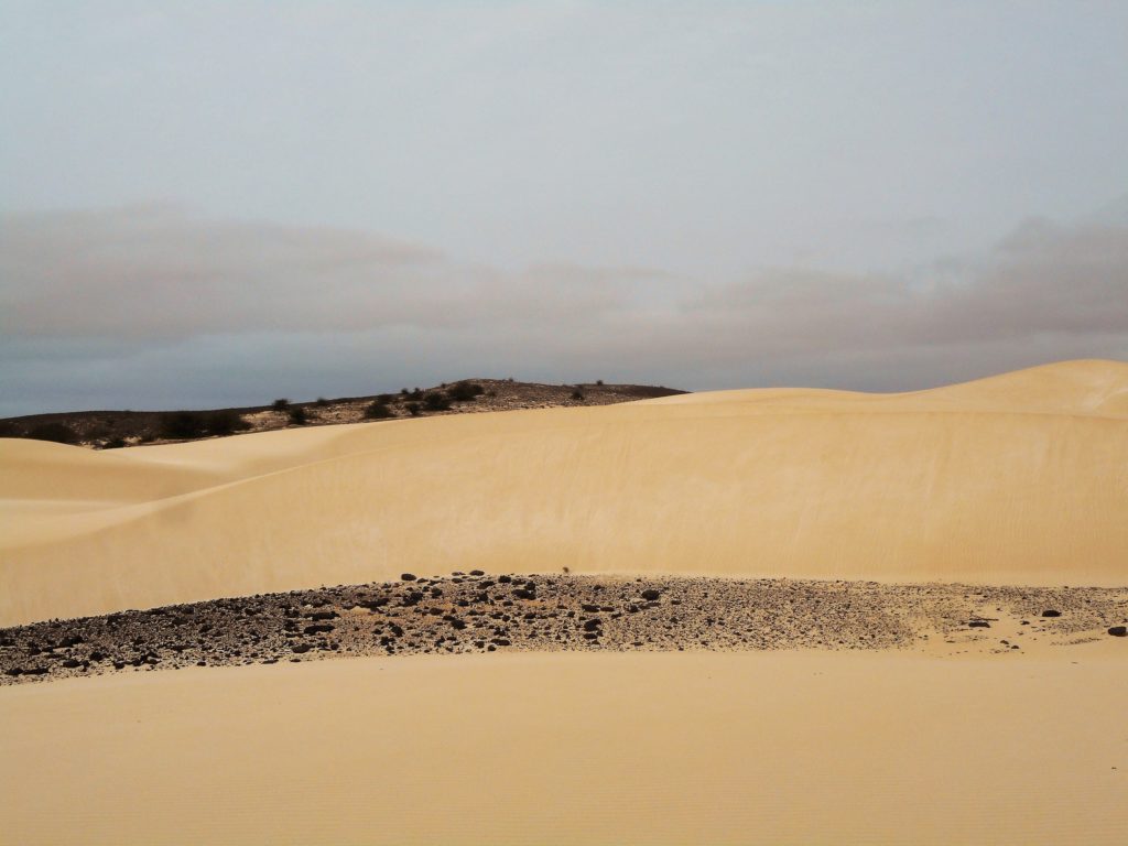 Le désert de Viana