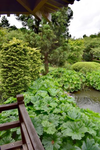 Les jardins japonnais