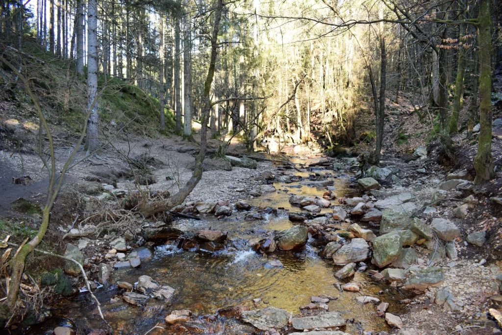 Le Canyon des Trôs Marets à Malmedy