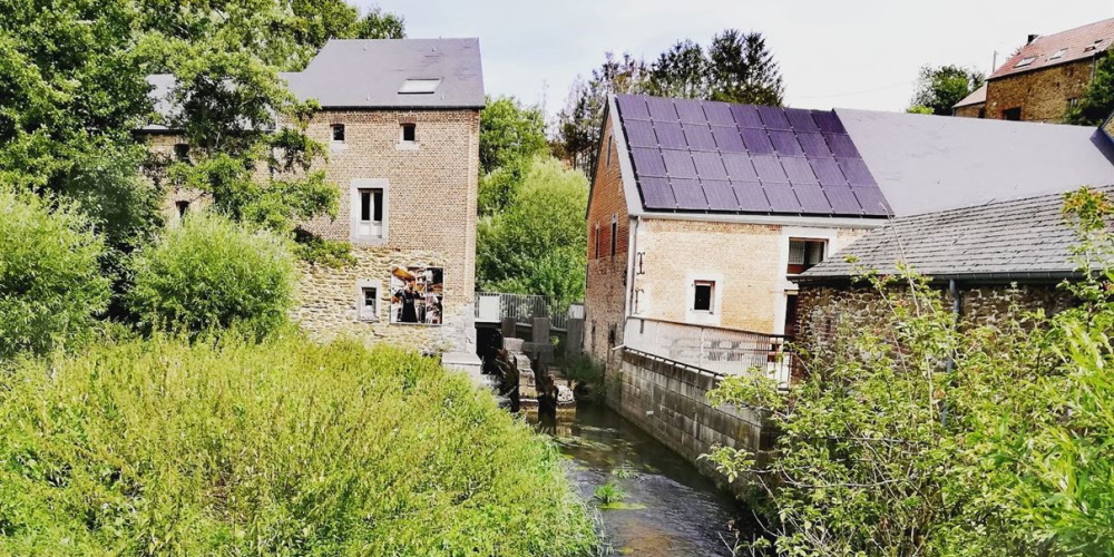 La balade de la rainette des marais et le ravel expo