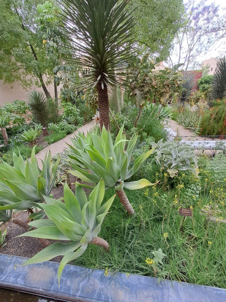 Le jardin secret
