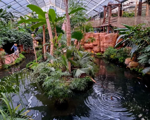 L'oasis à Pairi Daiza
