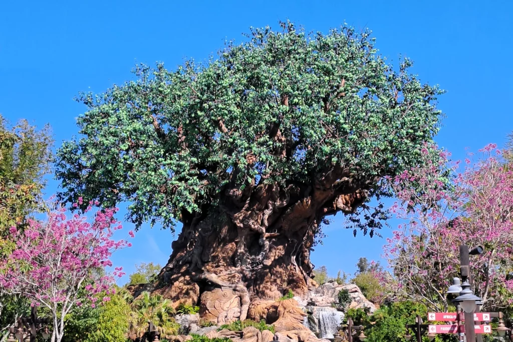 L'arbre de vie à Animal Kingdom à walt Disney World
