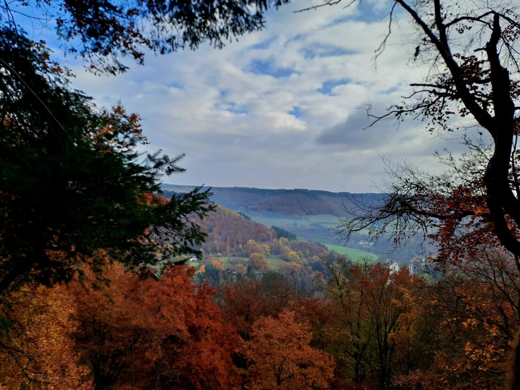 Les balades de David au Mullerthall