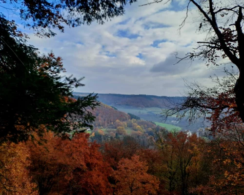 Les balades de David au Mullerthall