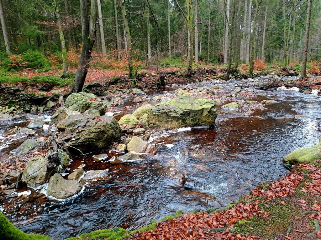 La rando papote de Ternell