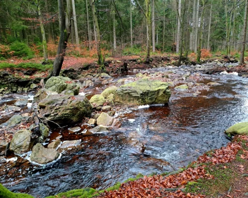 La rando papote de Ternell